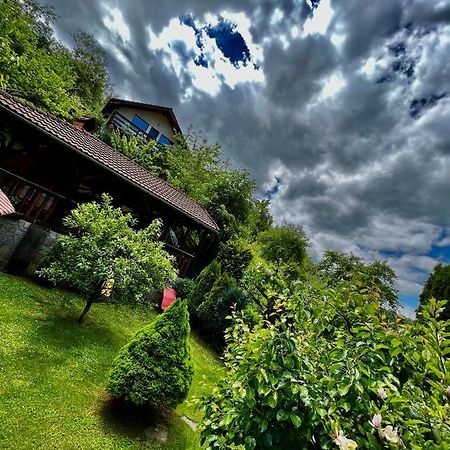 Cabana Vanatorilor Poiana Mărului Exterior foto