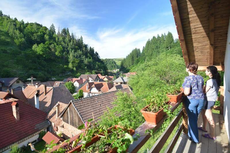 Cabana Vanatorilor Poiana Mărului Exterior foto