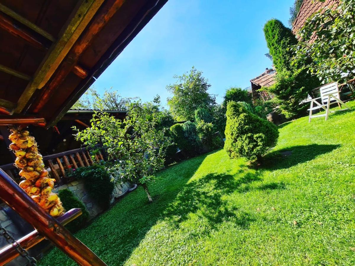 Cabana Vanatorilor Poiana Mărului Exterior foto