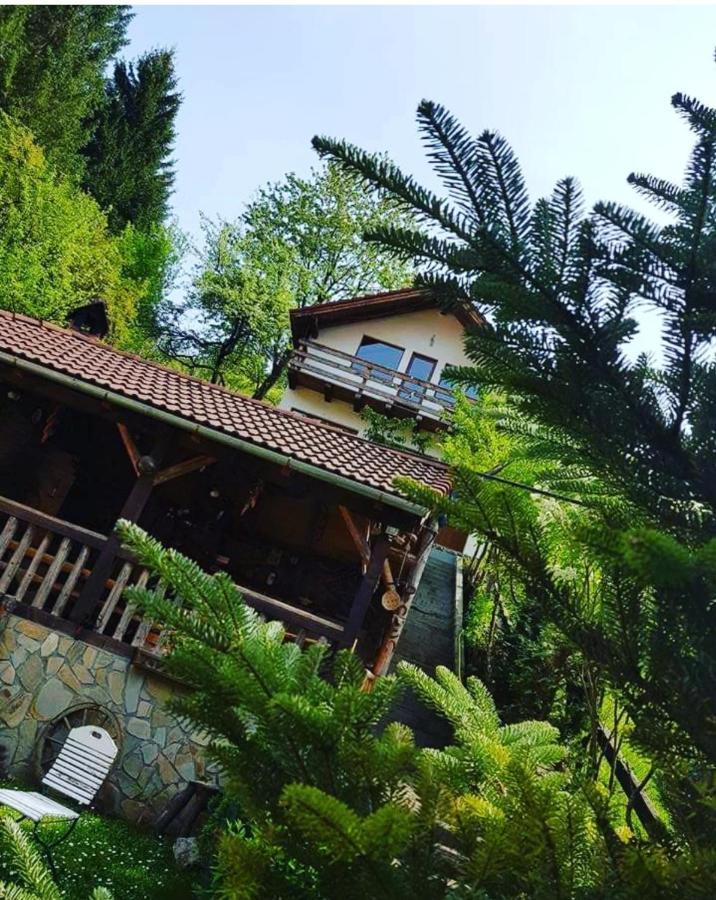 Cabana Vanatorilor Poiana Mărului Exterior foto