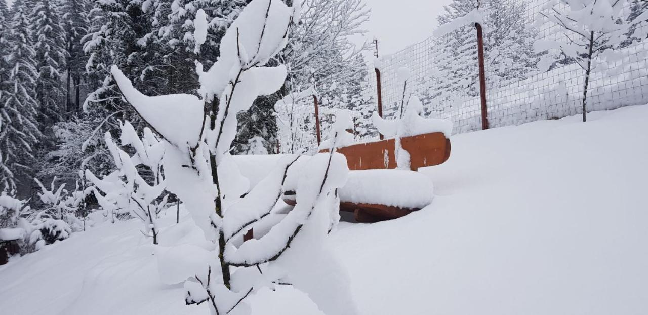 Cabana Vanatorilor Poiana Mărului Exterior foto